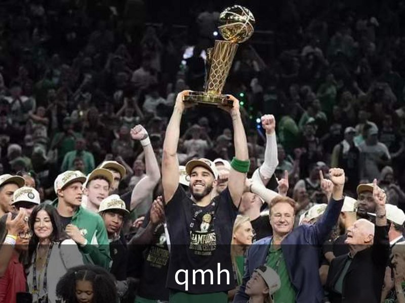 走进qmh